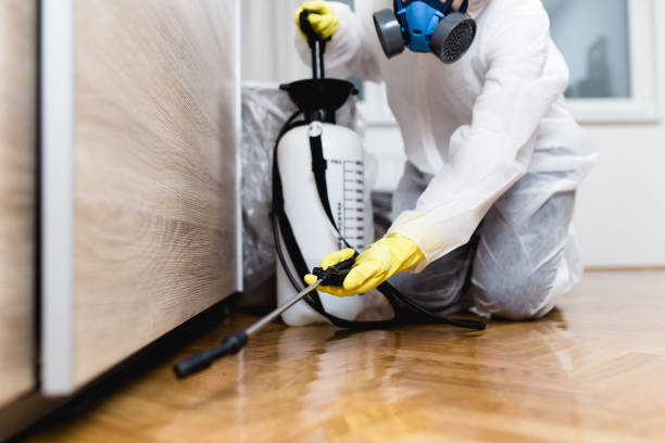 Best Termite Control Services  in Carpentersvle, IL