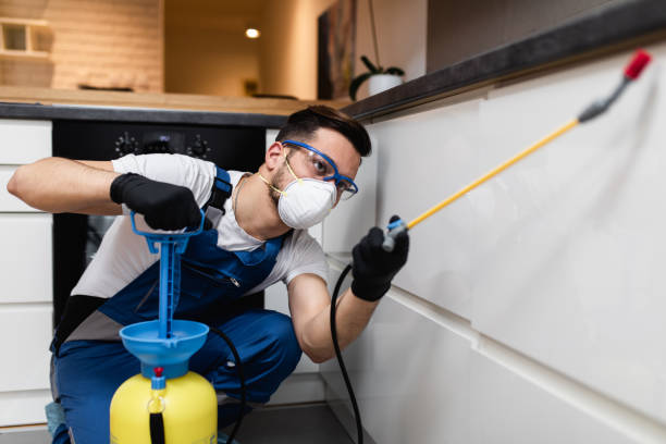 Best Pest Inspection Near Me  in Carpentersvle, IL
