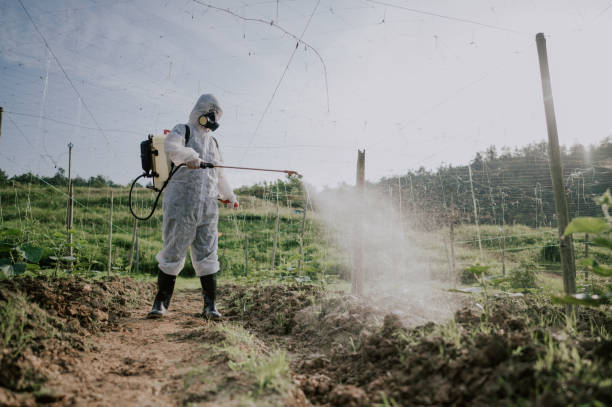 Best Pest Control for Homes  in Carpentersvle, IL