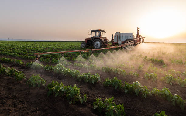 Best Pest Prevention Services  in Carpentersvle, IL