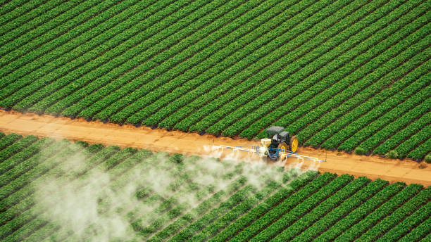 Best Ant Control Services  in Carpentersvle, IL