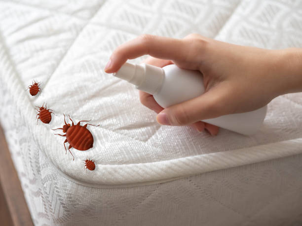 Reliable Carpentersville, IL Pest Control Solutions