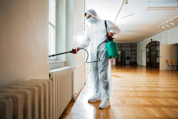 Best Pest Removal Services  in Carpentersvle, IL