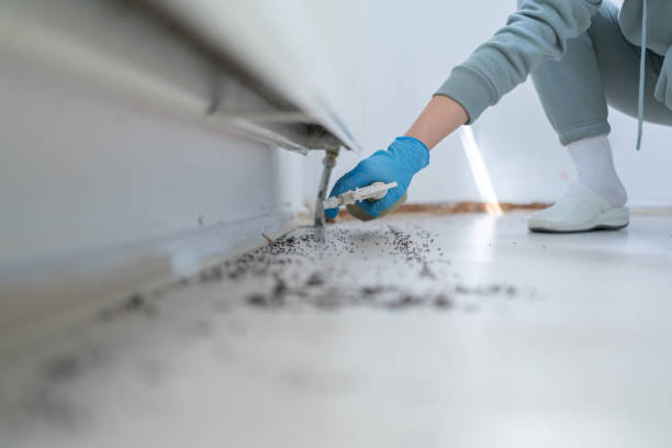 Best Best Pest Control Companies  in Carpentersvle, IL