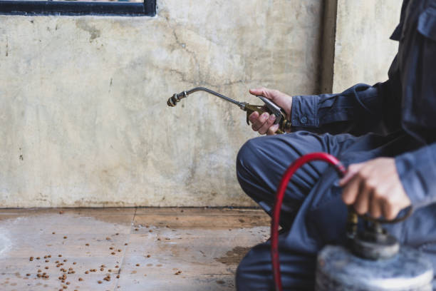 Best Flea Control Services  in Carpentersvle, IL